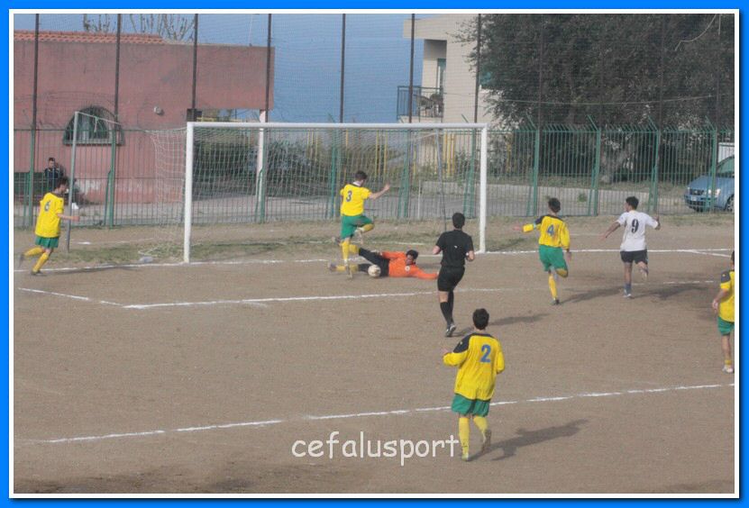130406 delfini 173_tn.jpg